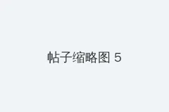 追风少年的头像
